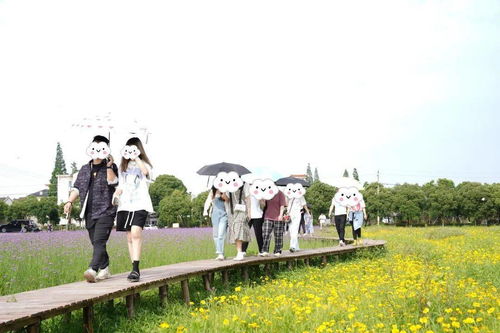 趣也青年 這個(gè)周末有點(diǎn)甜——戶外燒烤、游戲暢玩與花海打卡的動(dòng)漫之旅